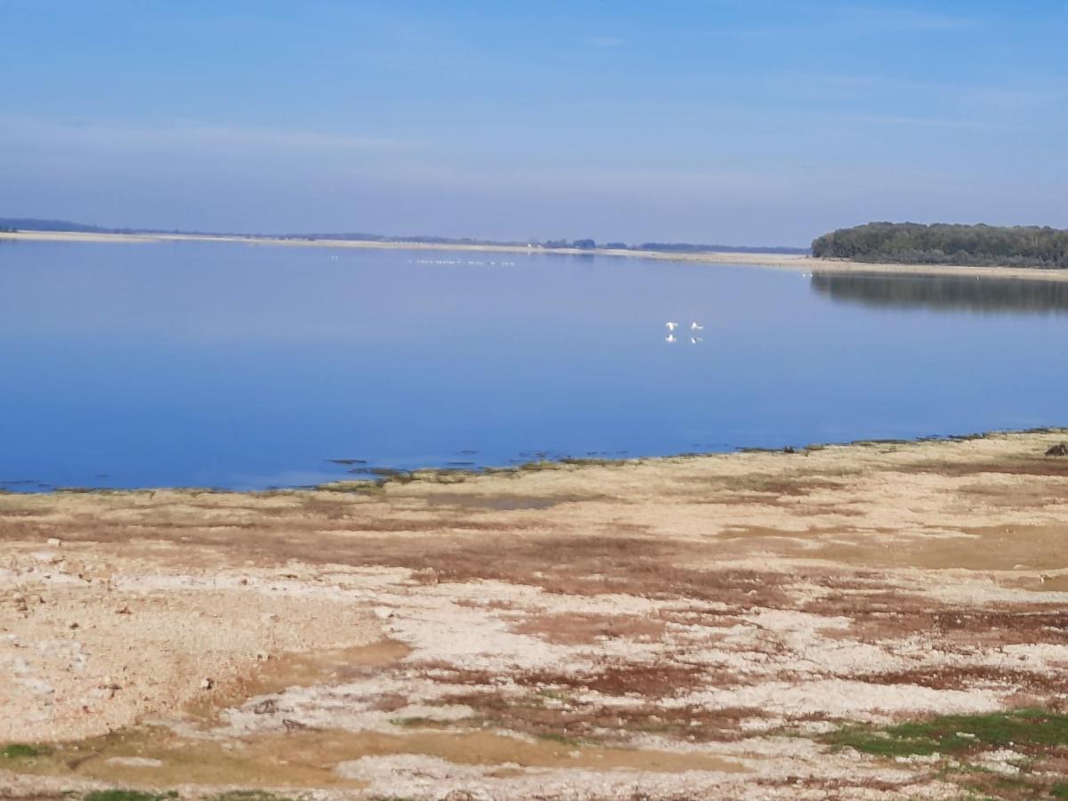 Marne Lac Du Der Joli Chalet Au Charme Du Der Chatillon-sur-Broue Zewnętrze zdjęcie